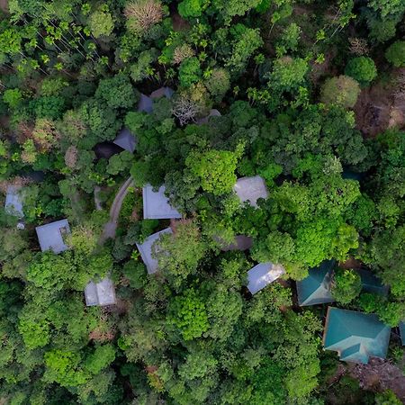 Hotel The Hive, Wayanad Extérieur photo
