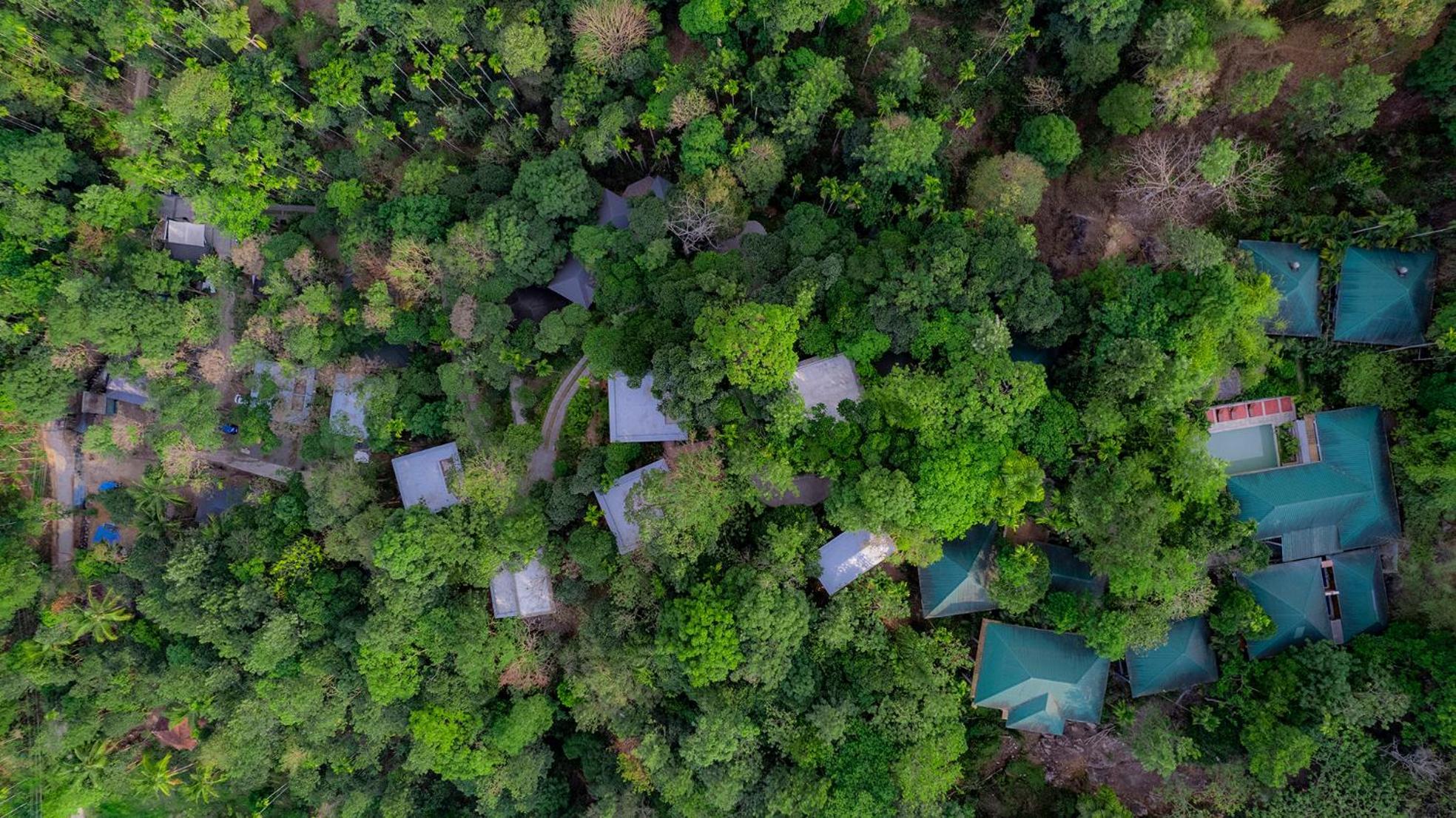 Hotel The Hive, Wayanad Extérieur photo