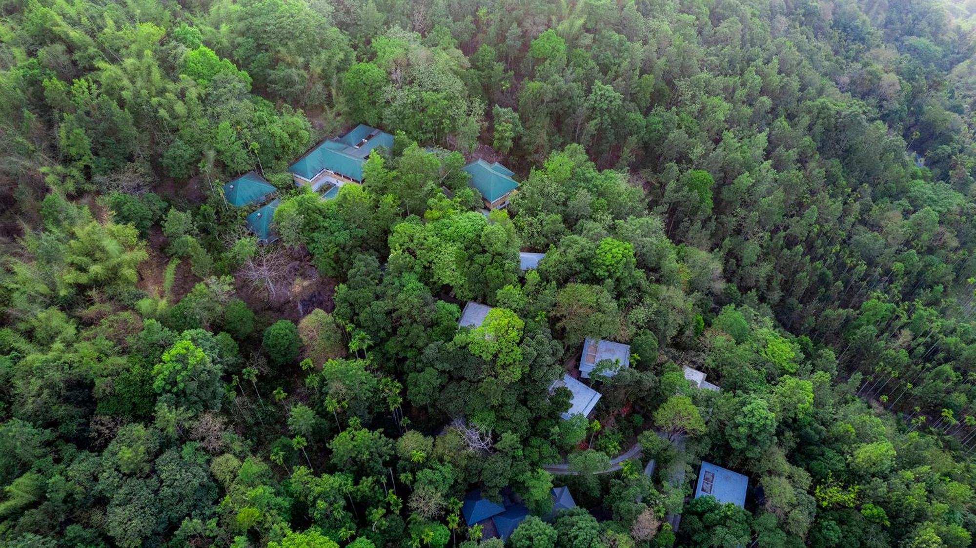 Hotel The Hive, Wayanad Extérieur photo