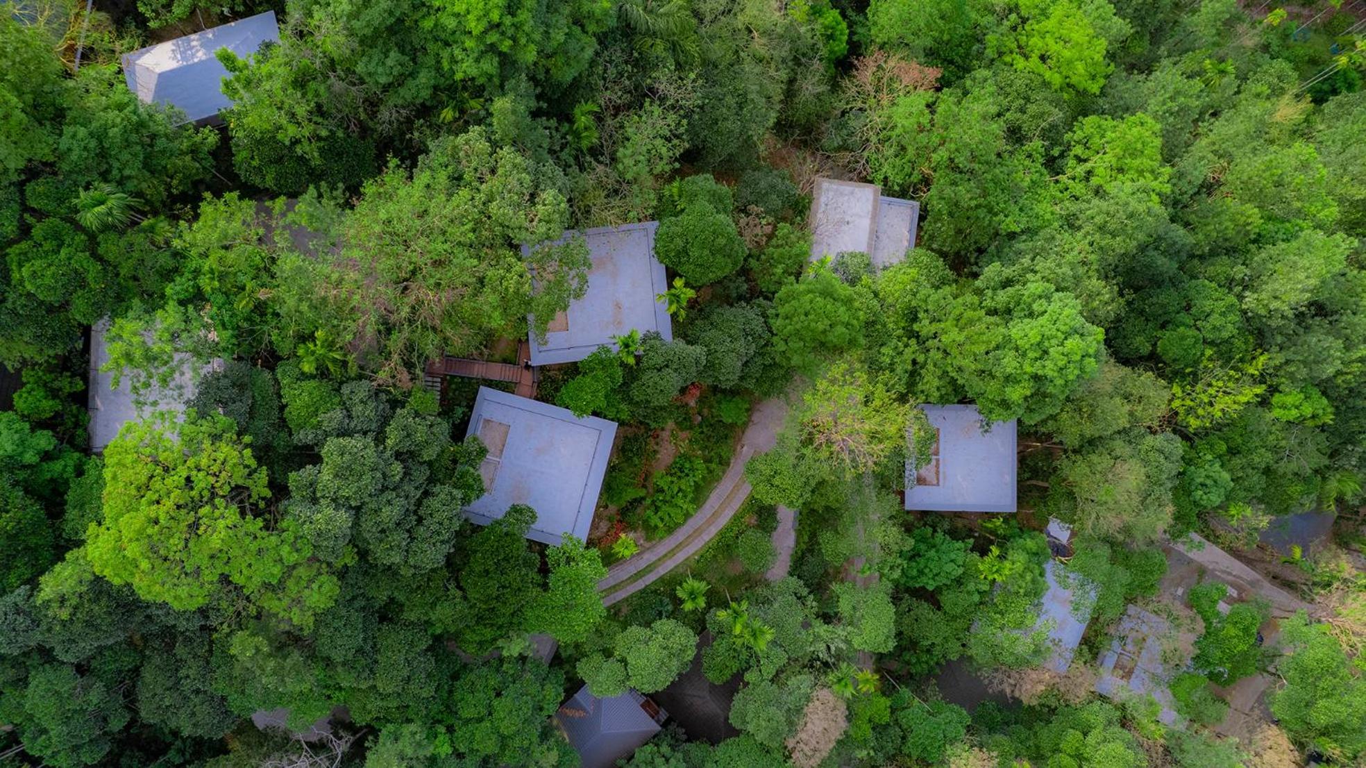 Hotel The Hive, Wayanad Extérieur photo