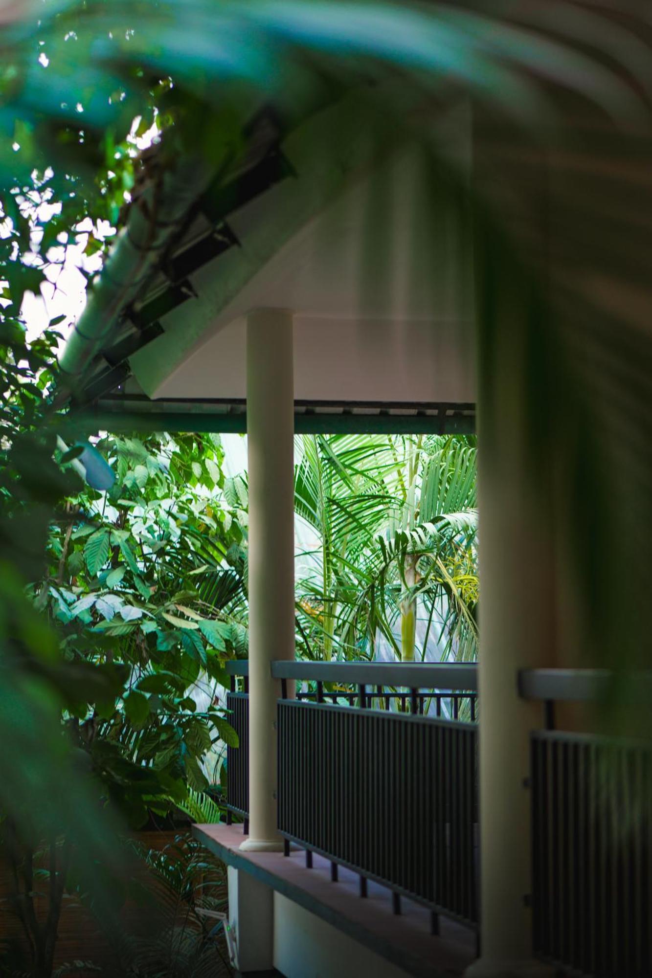 Hotel The Hive, Wayanad Extérieur photo