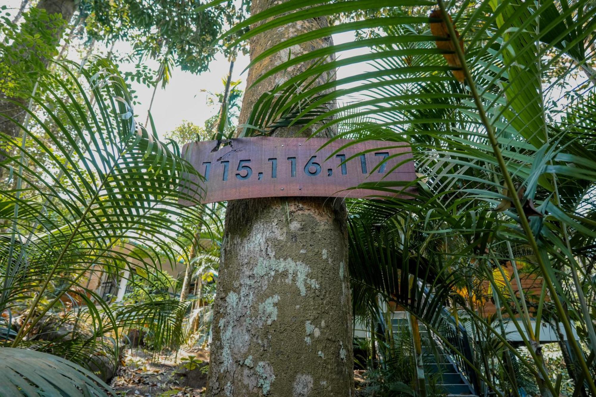 Hotel The Hive, Wayanad Extérieur photo