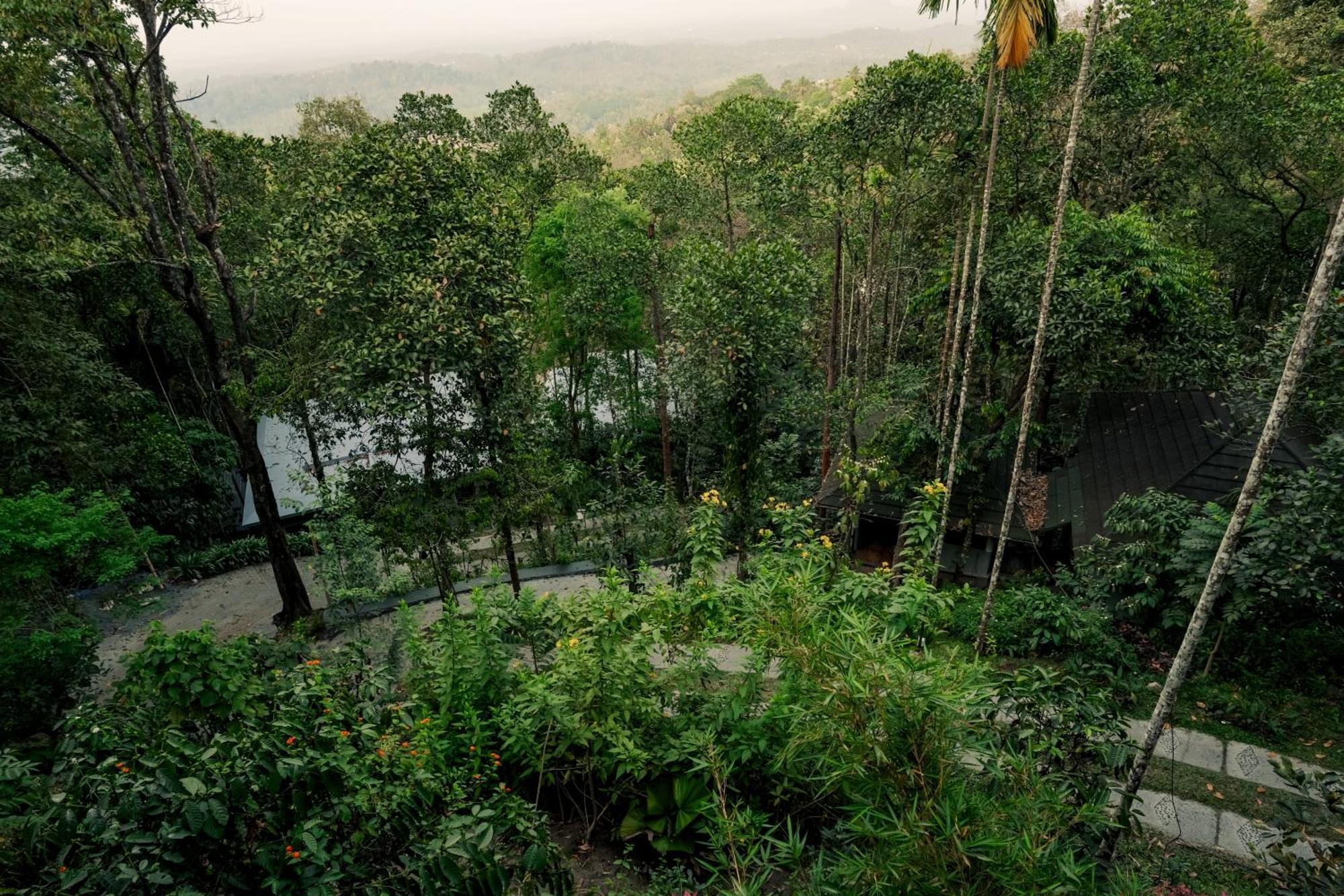 Hotel The Hive, Wayanad Extérieur photo
