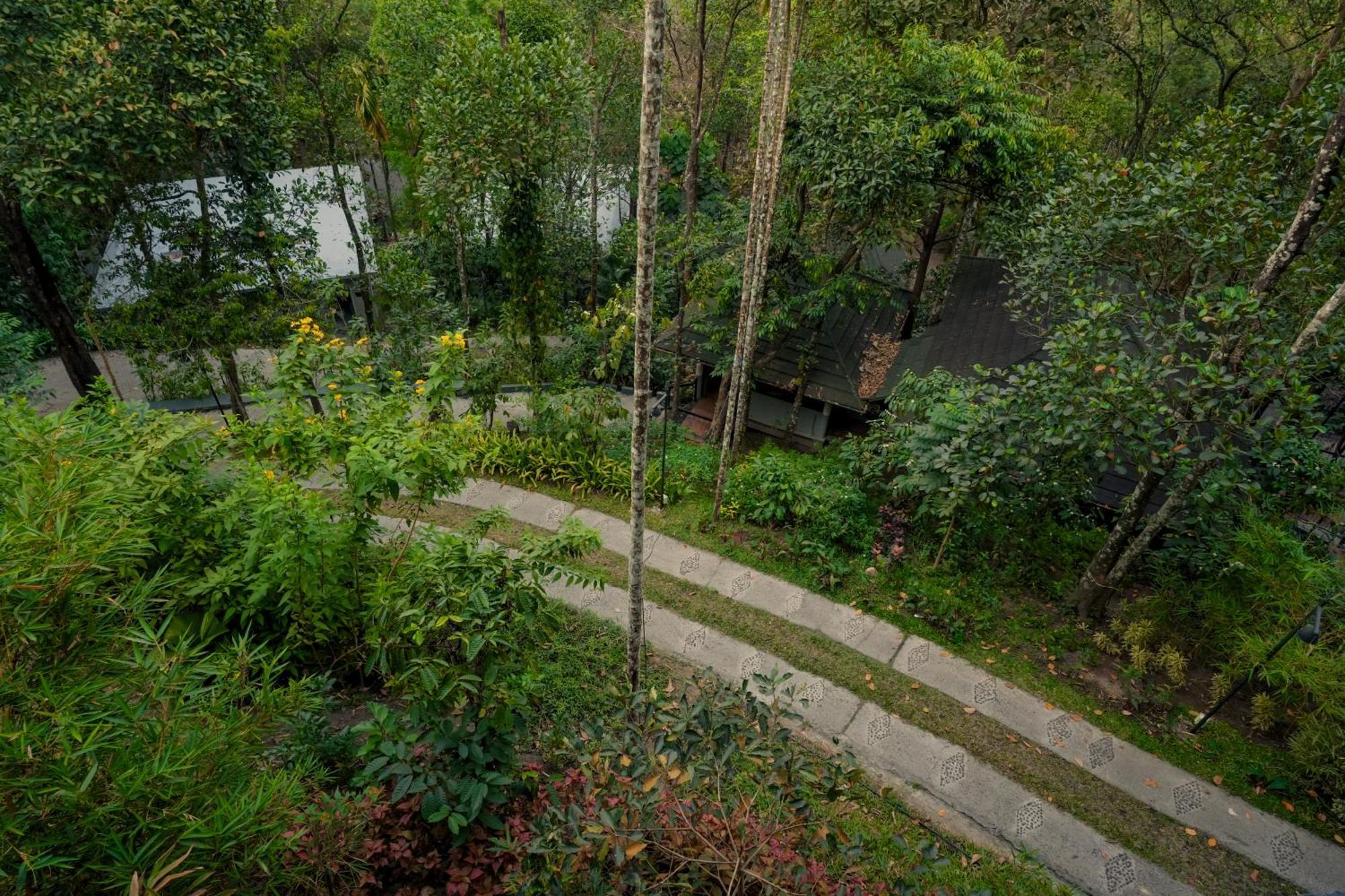 Hotel The Hive, Wayanad Extérieur photo